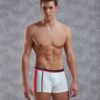 Doreanse Athletic Side Stripe Boxer Brief Underwear 1713 White