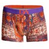 Doreanse Luxurious Boxer Brief Underwear 1824 Rug Patternd 2