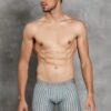 doreanse mens modal printed gingham patterned regular leg boxer 1864 imprime collection multicolor 1