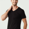 U.S. Polo Assn. 2 Pack 100 Cotton V Neck Mens T shirt 80199 black